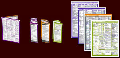 Four-page JavaScript Card (8.5x11), Set of Three JavaScript Foldouts (3.5x8.5)